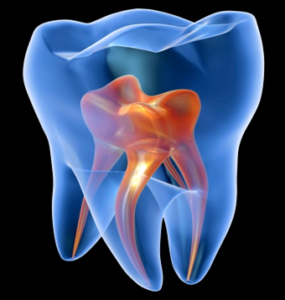 Nha-Khoa-Thien-Bao-Root-Canal-01