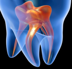 Nha-Khoa-Thien-Bao-Clinic-Picture-Stream-05